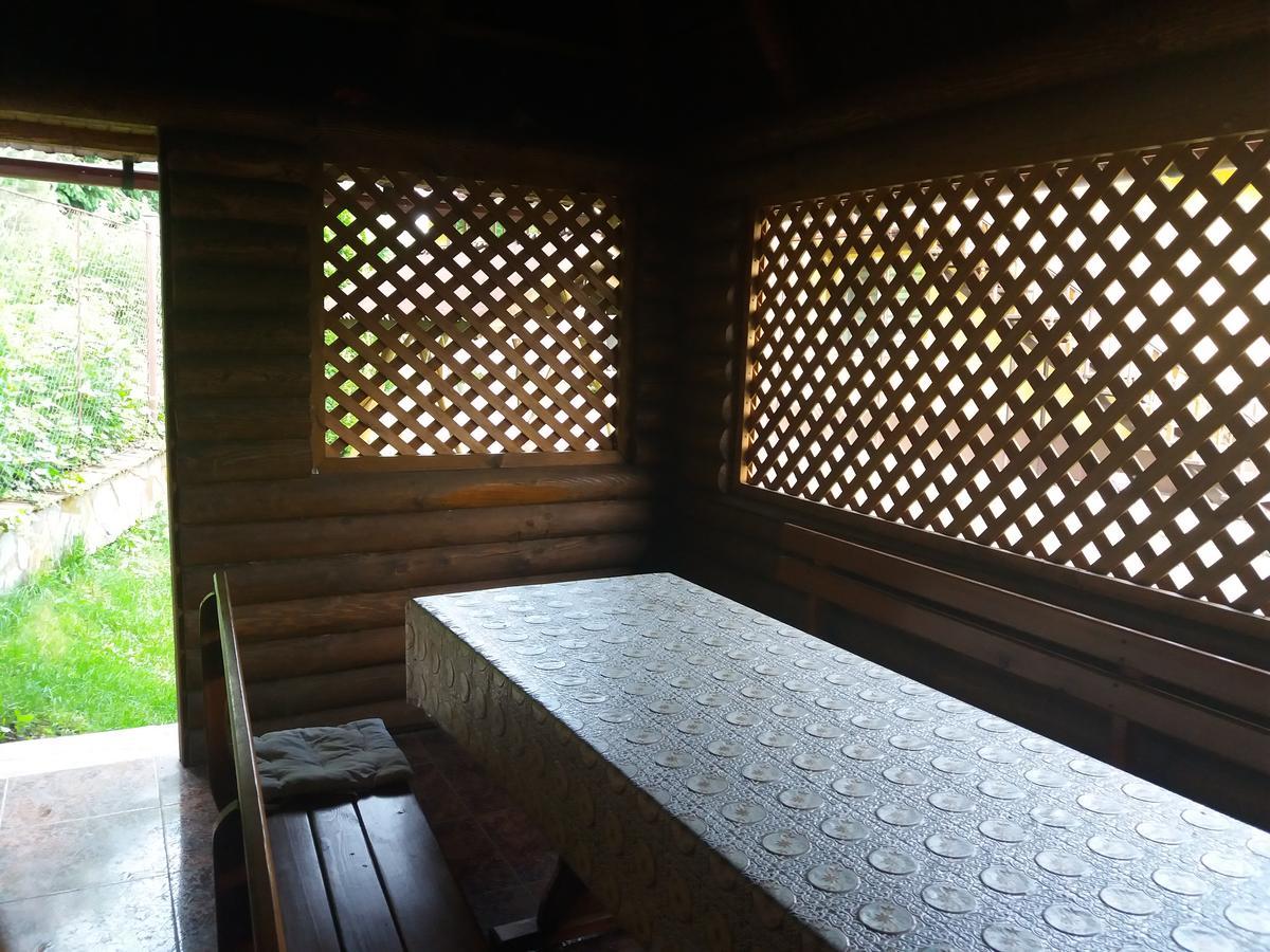 U Lyudmily Villa Dãy núi Karpat Ngoại thất bức ảnh