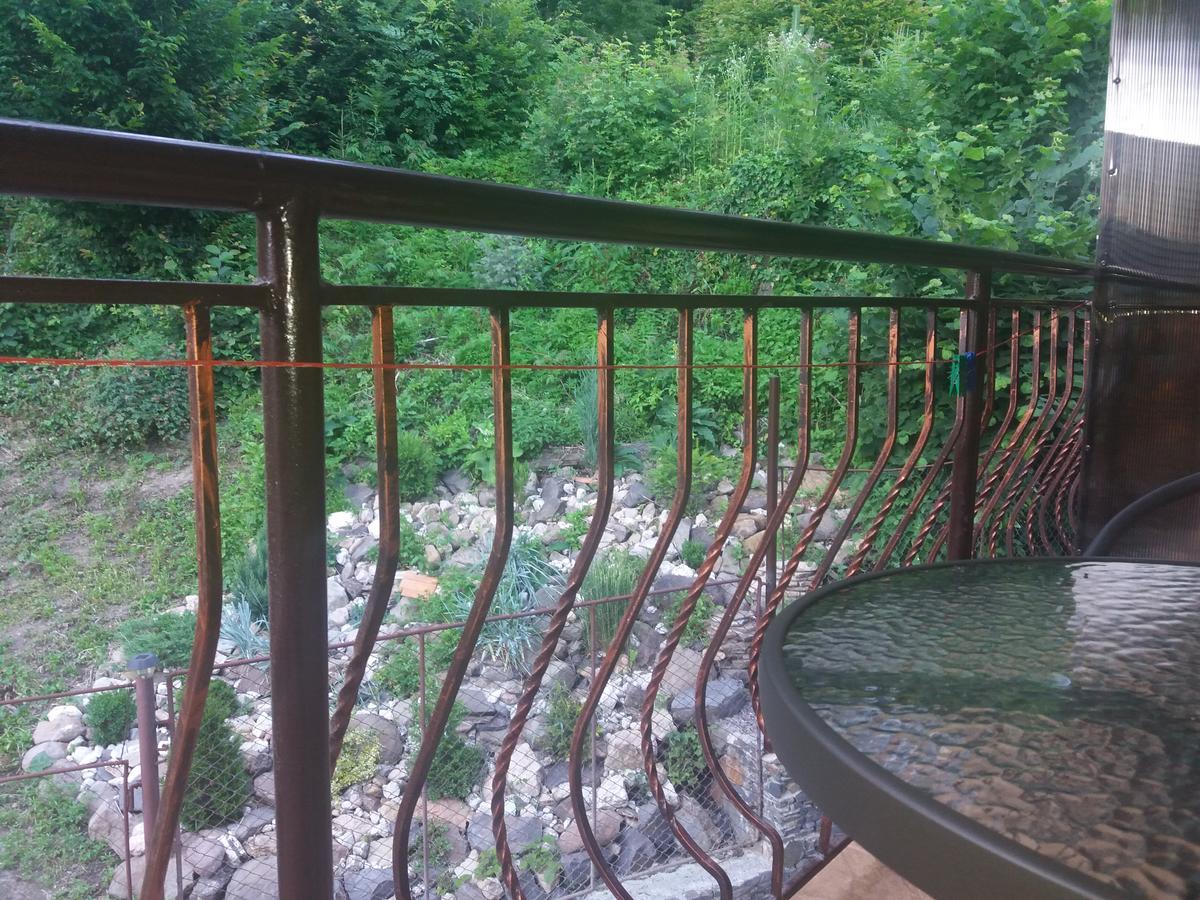 U Lyudmily Villa Dãy núi Karpat Ngoại thất bức ảnh